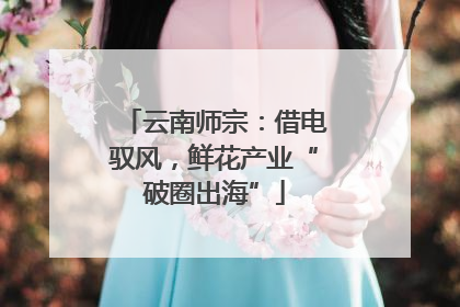 云南师宗：借电驭风，鲜花产业“破圈出海”